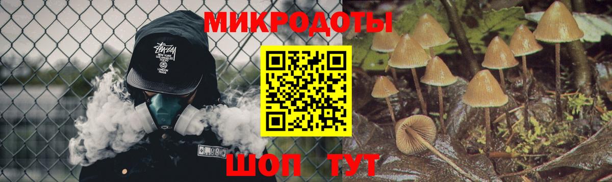 Псилоцибиновые грибы прущие грибы  как найти наркотики  Галлюциногенные грибы мухоморы  Лабытнанги  Вход с VPN 